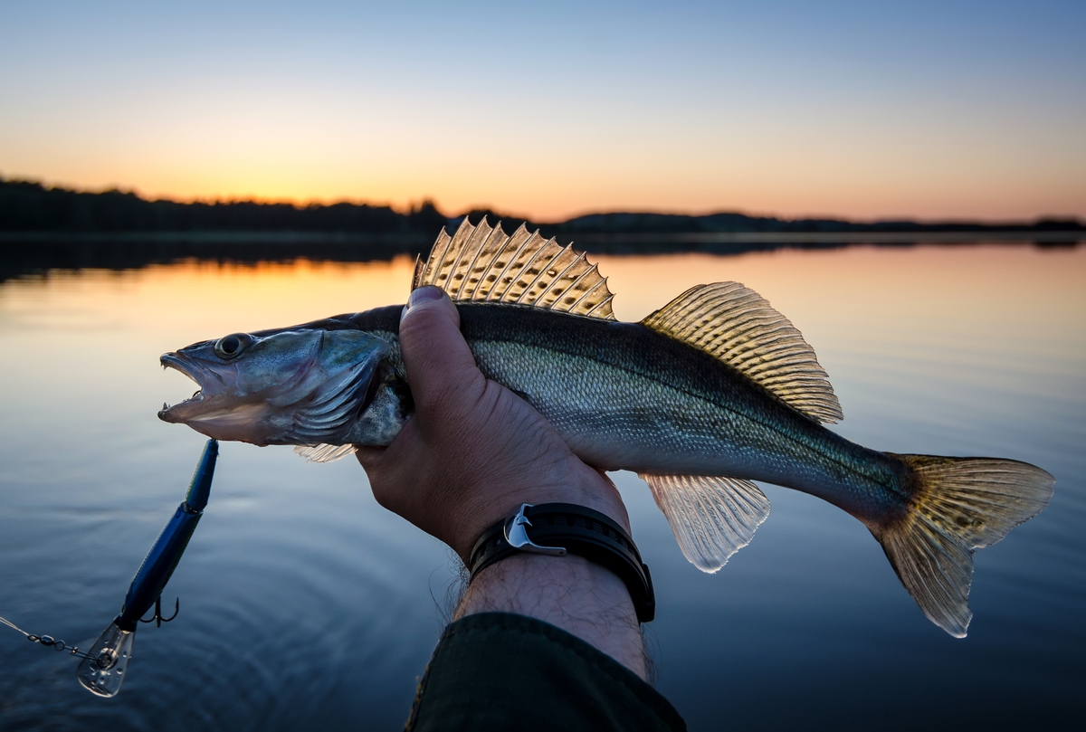 South Dakota Fishing